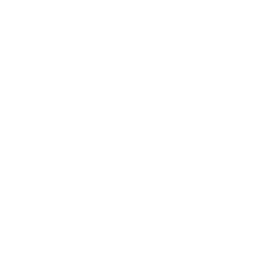Erhu Remix Project